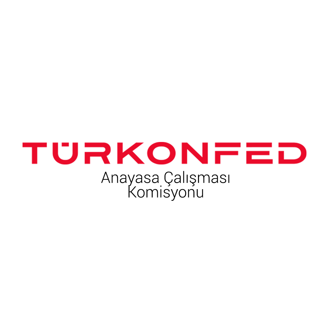 Anayasa Çalışması Komisyonu