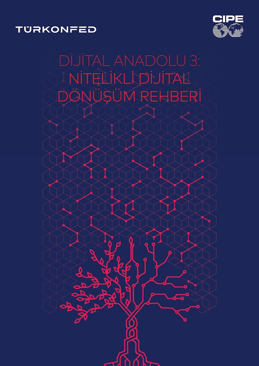 DİJİTAL ANADOLU 3: NİTELİKLİ DİJİTAL DÖNÜŞÜM REHBERİ