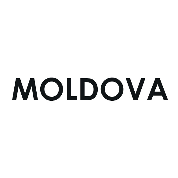 MOLDOVA TÜRKİYE TİCARET VE SANAYİ ODASI (MTTSO)