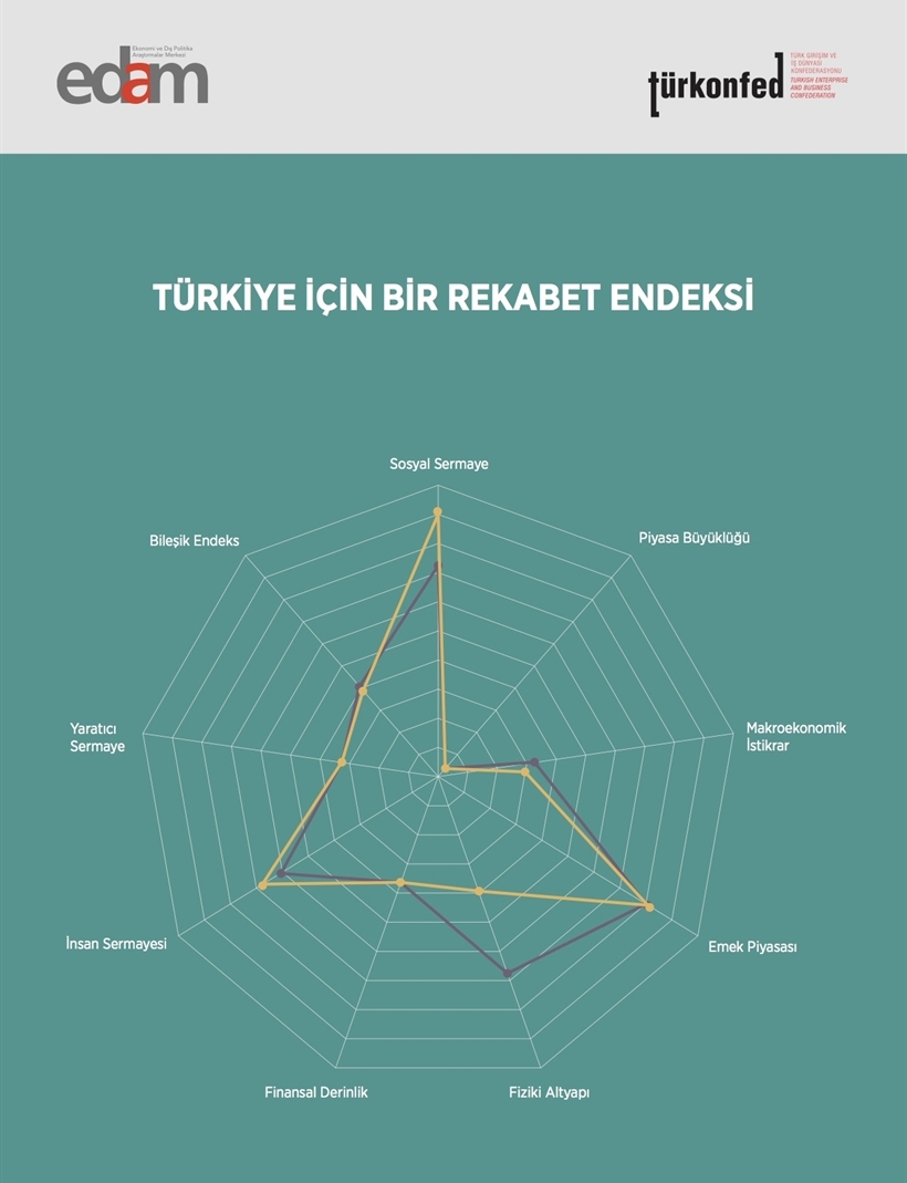 Türkiye İçin Bir Rekabet Endeksi
